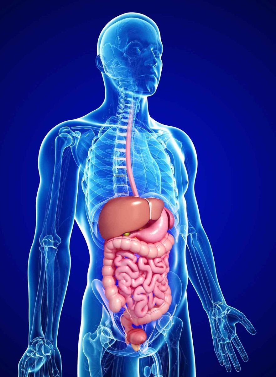 Gastroenterology & Care